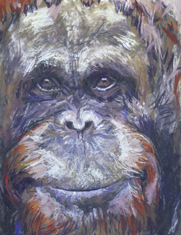 gorilla_thumb