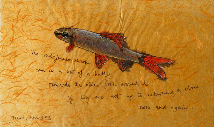 other_fish