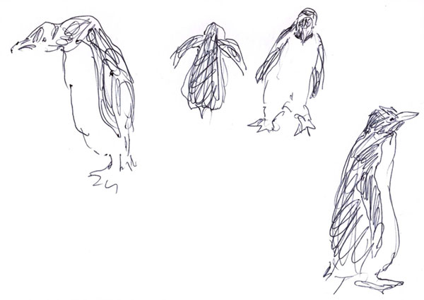 sketch_penguins